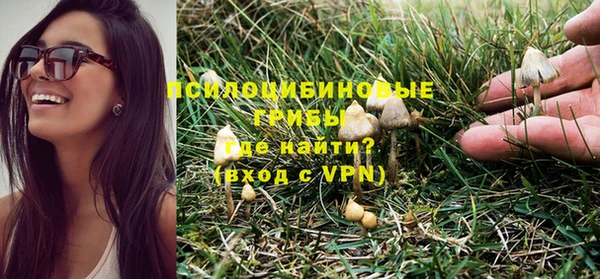 сатива Ханты-Мансийск