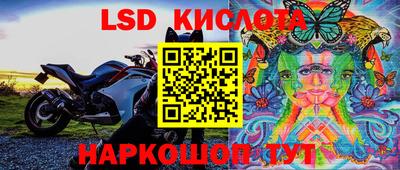 бошки Берёзовский