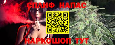 jwh Кинель