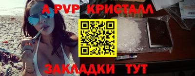 2c-b Кингисепп