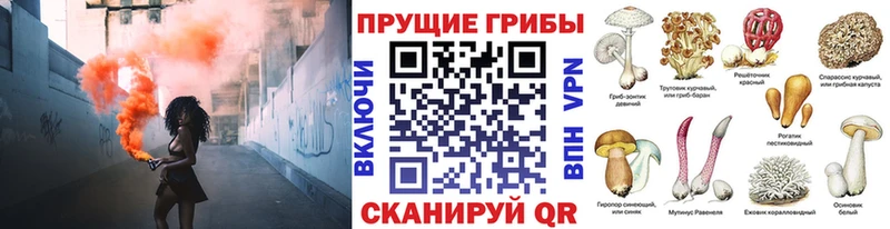 Галлюциногенные грибы мицелий  Карасук 