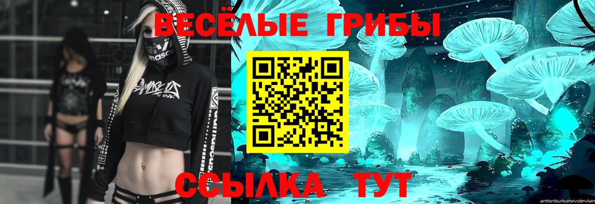 Псилоцибиновые грибы мицелий Карасук