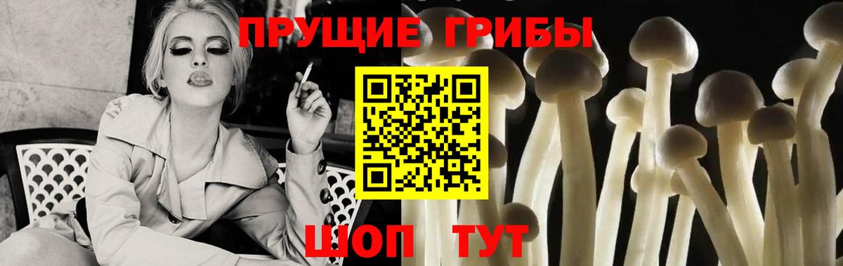 Галлюциногенные грибы Magic Shrooms  Карасук 