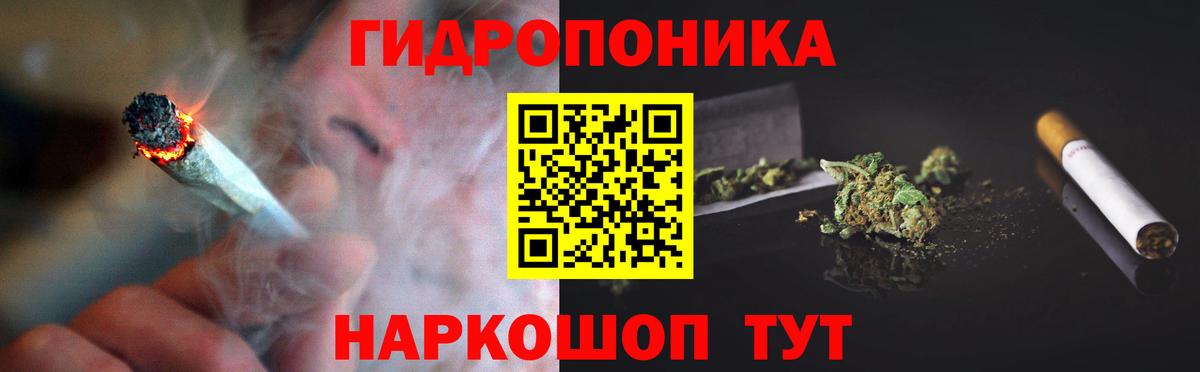 Конопля марихуана  Марихуана OG Kush  Марихуана индика  Карасук 